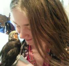 Meeko (cockatiel) and his lovely young adopter.