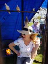 Another close encounter of the bird kind.