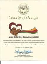 Certificate Of Appreciation