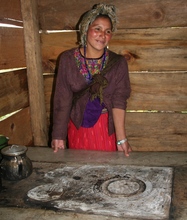 EcoLogic Fuel-efficient stove recipient