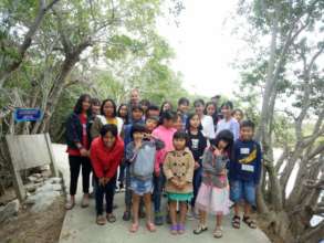 Forest activity