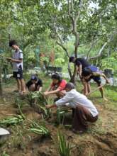 gardening