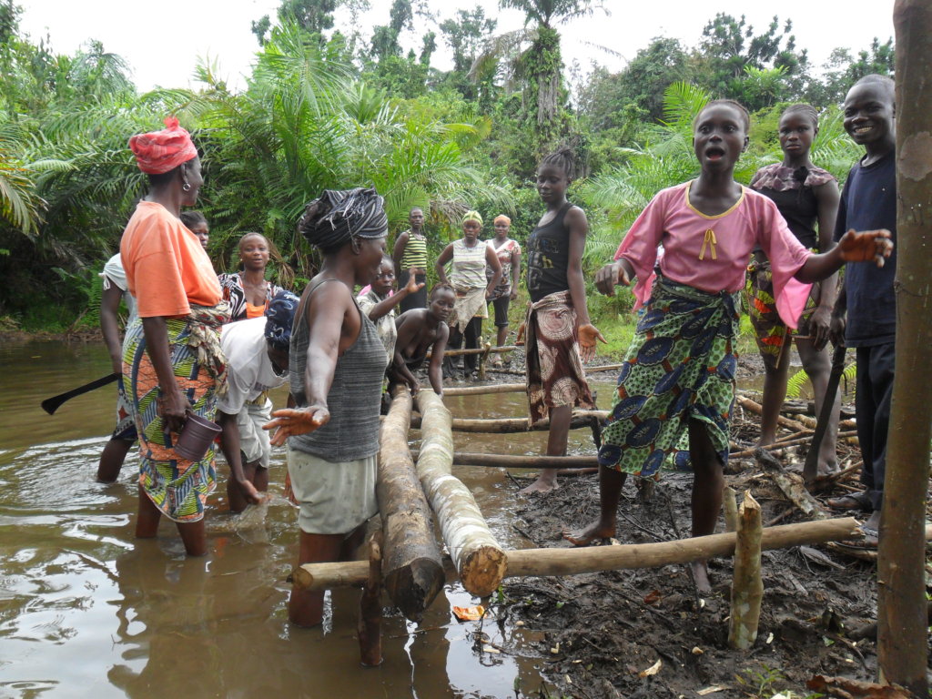 Empowering 100 Women Ebola Survivors In Liberia Globalgiving