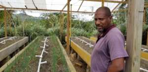 INMED Caribbean Aquaponics Specialist Paul Barrett