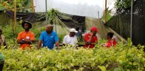 Day 2 farmer training