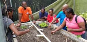 Day 2 farmer training - planting seedlings