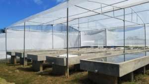 CASE growbeds are ready for seedlings