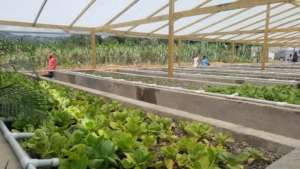 Farmers tend their new system in Alston