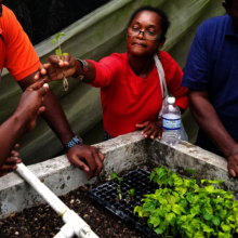 Women see aquaponics as a path to self-reliance