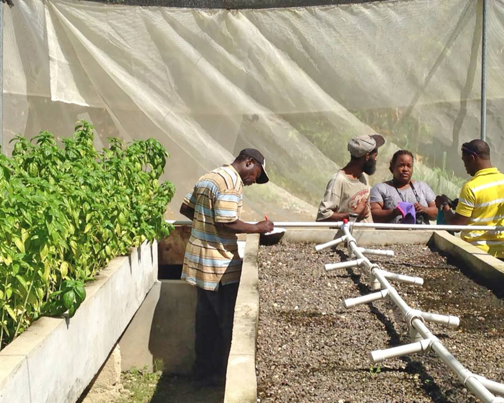 aquaculture development aquasol, inc.