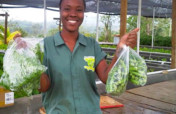 Fund Jamaican Farmers in Climate-Smart Aquaponics