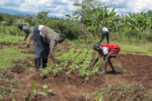 Photo from Child Rescue Kenya