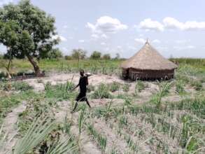 A typical "farm" in South Sudan.