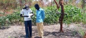 Field surveys help guide better outcomes.