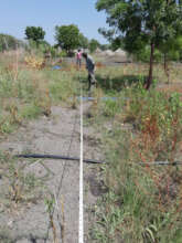 Measuring the land for a demonstration garden.