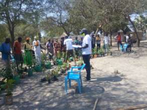 Distributing seedlings, Dhoreak, South Sudan