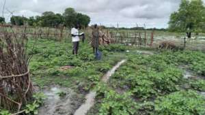 Taking a survey in Dhoreak.