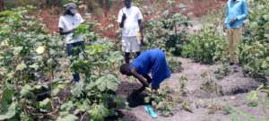 Surveying the farmers.