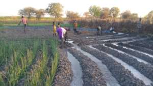 A new farm in Dhoreak.