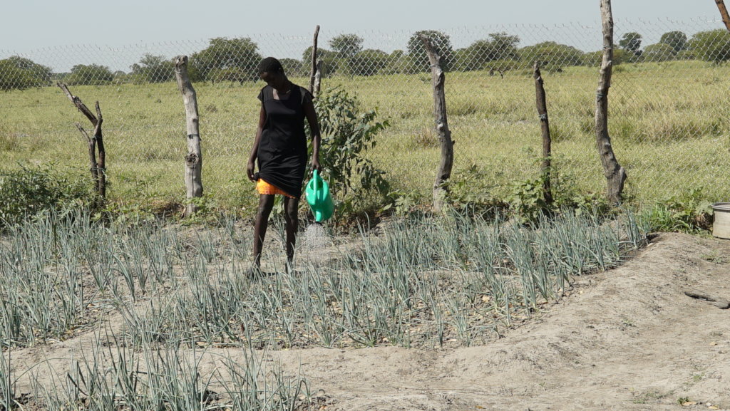 Fight famine with farming in South Sudan