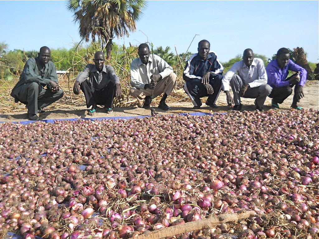 Reports on Fight famine with farming in South Sudan GlobalGiving