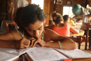 Homework in the library