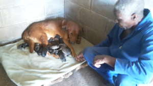 Our Inspector Mr. Usore with the new arrivals.
