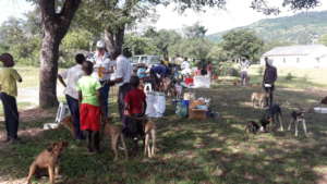 Vaccinate, Treat, Educate and a treat for later!