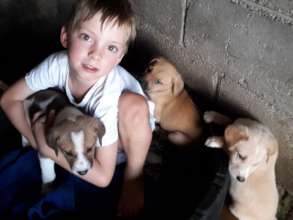 Harry in the puppies bed, happy times