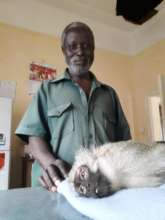 This Monkey trusted us, but we could not save her