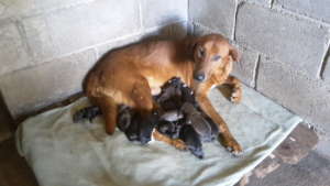 A closer look ....and you want to touch them!