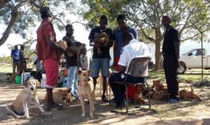MORE THAN 500 TREATED
