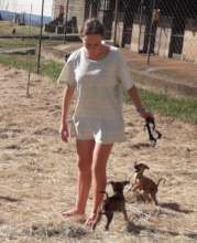Fun runs, children help our SPCA puppies