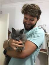 Love finally. Never to be discarded again