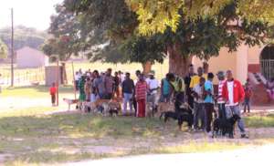 The queue starts at dawn