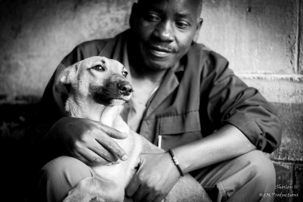 Survival of Animal Welfare Charity in Zimbabwe