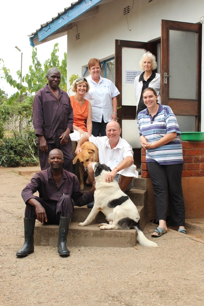 Survival of Animal Welfare Charity in Zimbabwe