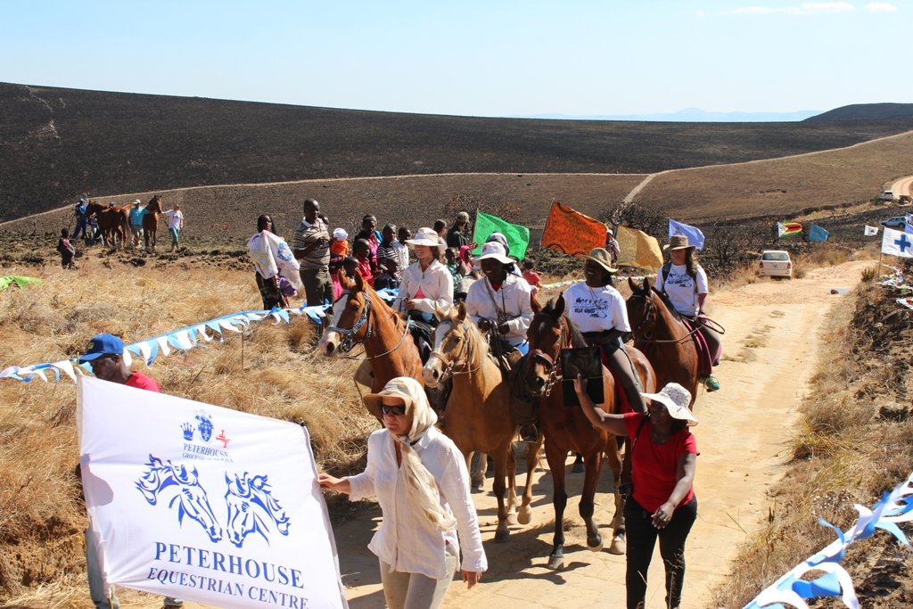 Survival of Animal Welfare Charity in Zimbabwe