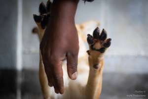 Helping hand.