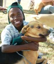 Survival of Animal Welfare Charity in Zimbabwe