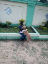 WE RETURN A DOG TO ITS FIRST HOME