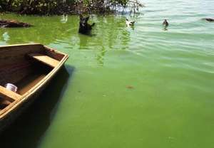 The source of drinking water for the community