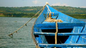 Blue Boat