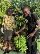 Home grown bananas