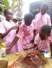 Class 6 Science Project