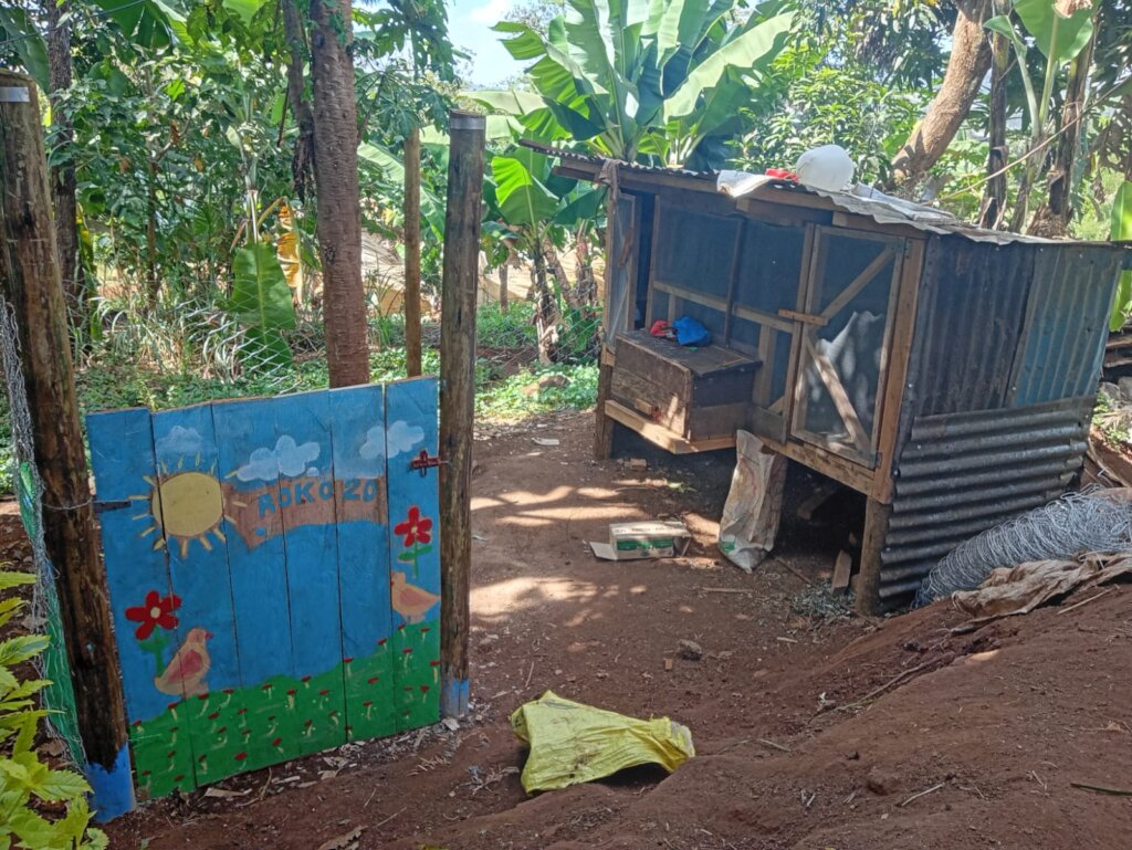Building a new home for chickens