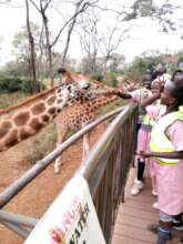 School trip to Giraffe Centre