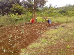 Parents preparing the land for vegetables