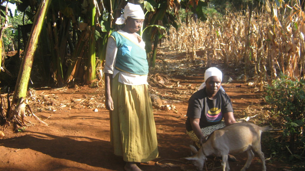 Educating orphans & the disadvantaged in Kenya