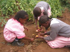 Gardening Club